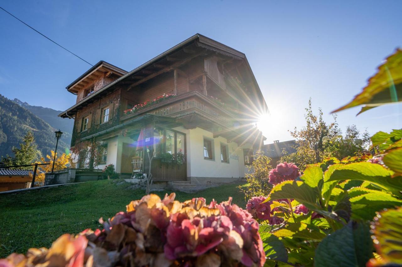 Gaestehaus Waldruh Brandberg Ngoại thất bức ảnh